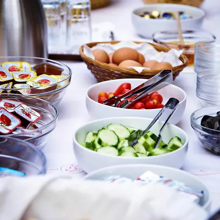 酒店 伊迪翁酒店 2*